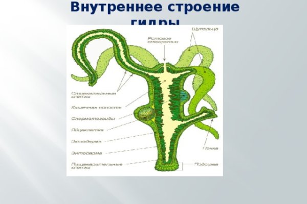 Ссылки мега кракен