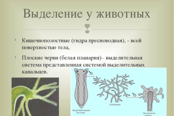 Как восстановить пароль кракен